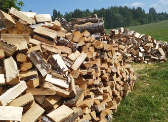 Peržiūrėti skelbimą - Malkos