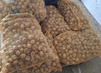 Mažos bulvės už 0,10 ct kg – puikus pasirinkimas namų virtuvėje