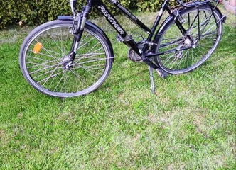 Pirkite moterišką dviratį – mėgaukitės laisve ir nuotykiais!