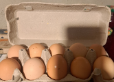 Peržiūrėti skelbimą - Naminiai kiaušiniai