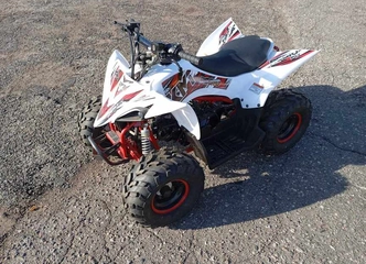 Naujas 110cc raudonas keturratis – stiprus rėmas!