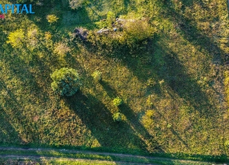 Šilutės rajone, Macikų kaime
