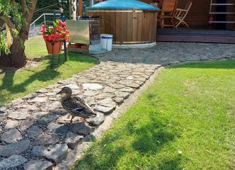 Pirtis iki 10 žmonių – puiki proga pailsėti!