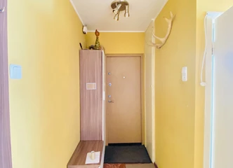 PLAČIOS GALIMYBĖS – IDĖLUS RINKTI IR NUOMAI