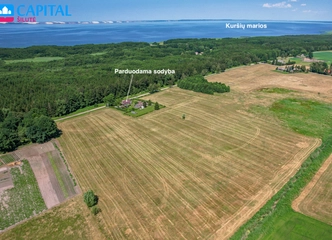 Parduodama sodyba su 8.4 ha žemės – tavo ramybės vieta!