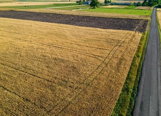 Šilutės r. sklypas su galimybe prisijungti prie komunikacijų!
