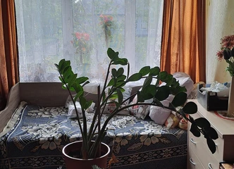 Traksėdžių 1k butas – derinkite kainą ir kurkite svajonių namus!