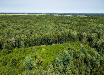 Investuokite į 2.1418 ha derlingą miškų ūkio žemę!