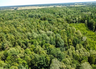 Šilutės rajonas: investicija į žaliojoje aplinkoje!