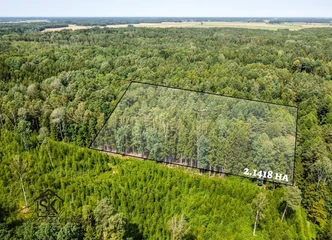 Peržiūrėti skelbimą - PARDUODAMAS 2.1418 HA MIŠKŲ ŪKIO SKLYPAS 