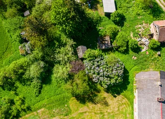 DUKART SOSURPUMA: BUVO PIENAS IR RAMYBĖ