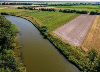 Investuokite į sklypą Rusnės saloje - puiki lokacija