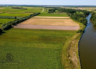 50 arų sklypas Nemuno deltoje - gamtos oazė