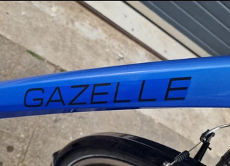 Vairuokite stilingai – Gazelle Chamonix T27 LTD mūsų pasiūlymas!
