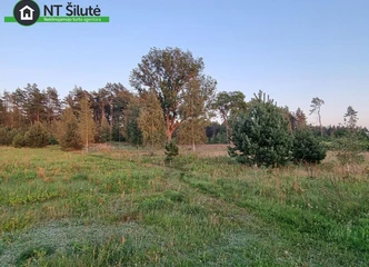58.73 arų sklypas su miško vaizdu Šilutės raj.