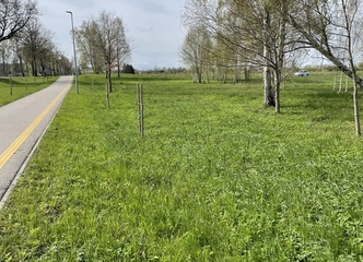 Traksėdžių sklypas 50 arų – puiki vieta jūsų svajonių namams