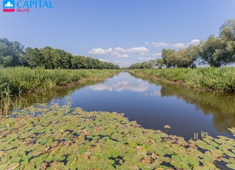Parduodami sklypai šalia Uostadvario, puikus oras
