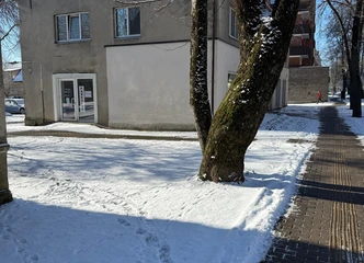 Išnuomojamos patalpos: puiki vieta verslui Šilutėje
