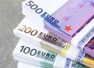 PERKAME MIŠKĄ – GERIAUSIA KAINA IR GREITAS ATSISKAITYMAS!