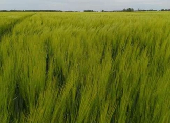 Įsigykite žemės sklypą iš karto ir pradėkite savo ūkį
