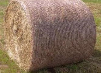 Perki šieną arba pievą? Susisiek dabar!