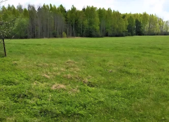 Peržiūrėti skelbimą - Perku sodo sklypą