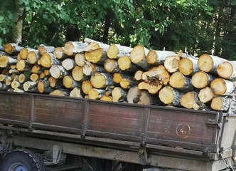 Pigios malkos rasteliais – šilta ir patogu!