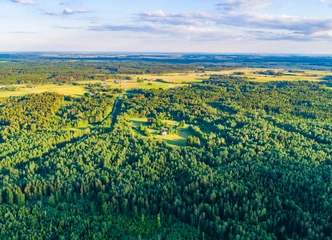 7,5 ha žemės su nekirstu mišku – puikus investicija!