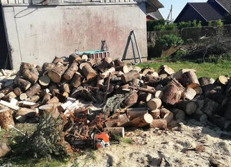 Iškasiu krūmus ir nupjausiu obelis – tinkamai paruoštu sodo priežiūra!