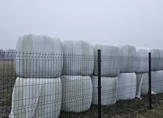 Peržiūrėti skelbimą - Plūgas, pieno bizonas ir šienas