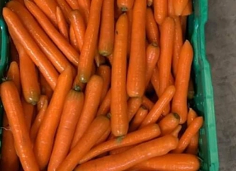Šviežios bulvės, morkos, svogūnai ir daugiau – skambinkite!