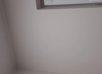 Profesionalus sienų ir lubų dažymas