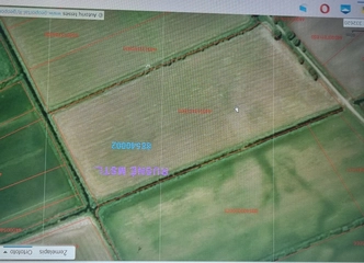 Puiki investicija – 4,3 ha dirbamos žemės Šyškrantės kaimelyje!