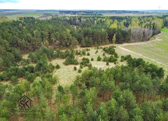 Išsirinkite savo sklypą Šilutėje – gyventi gamtoje!