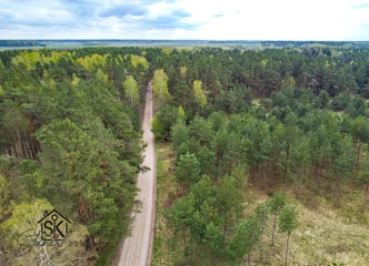 Namų sklypai pušynuose – ramybė ir grynas oras!