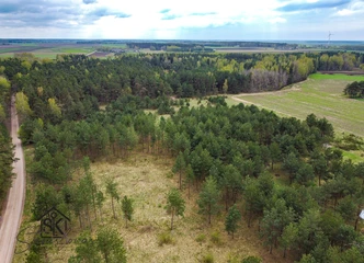 Atraskite širdžiai mielą sklypą su pušynais aplinkui!