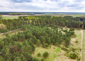 Pušynų apsuptyje – ideali vieta jūsų naujam namui!