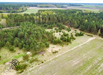 Būtent čia prasideda jūsų naujas gyvenimas – sklypai Šilutėje!