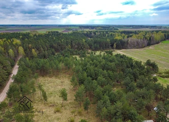 Investuokite į sklypą, kur gamta ir ramybė derinasi!