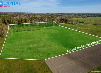 4.6 ha sklypas su upėmis ir miškais