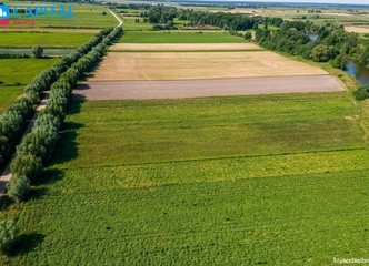 Puikus sklypas Nemuno deltoje – ramybė prie upės!