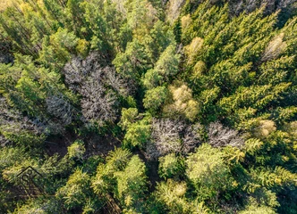 Viskas po ranka – mokykla, parduotuvės, gydymo įstaiga