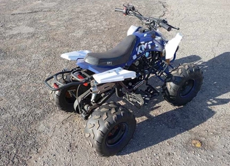 Raudonas 110cc keturratis – naujas, stiprus, patrauklus!