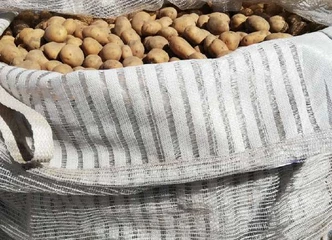 Peržiūrėti skelbimą - Sėklinio dydžio bulvės Vineta