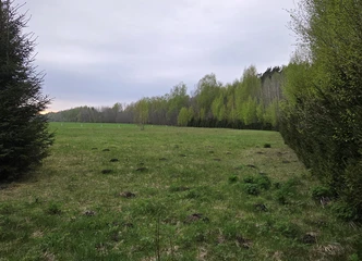 Peržiūrėti skelbimą - Sklypas