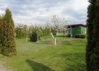 Patogus sodo sklypas su elektra ir šiltnamiu, pasiruošęs Jums!