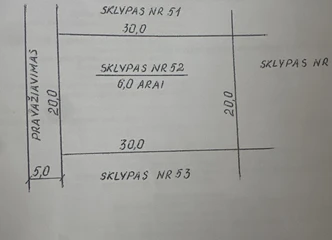 Sodo sklypas Pamario 7 - Jūsų svajonių poilsio vieta!