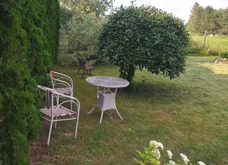 Sodo sklypas su nameliu – jūsų svajonių poilsio vieta Žem. Naumiesčio bendrijoje