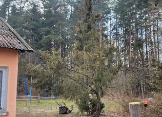Rami gyvenvietė, miško pakraštyje – jūsų svajonių namai!