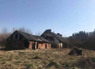Sodyba su beržais ir 1h žemės